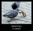 Андрій Яцкевич фотография #24 (источник - https://vk.com/id132424832)