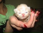 Фотография Зотиковой Татьяны