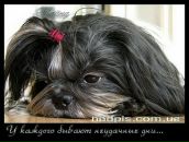 Фотография Величко Татьяны