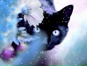 Фотография Тюляндиной Серафимы