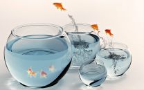 Василь Міляновський фотография #25 (источник - https://vk.com/id157342237)