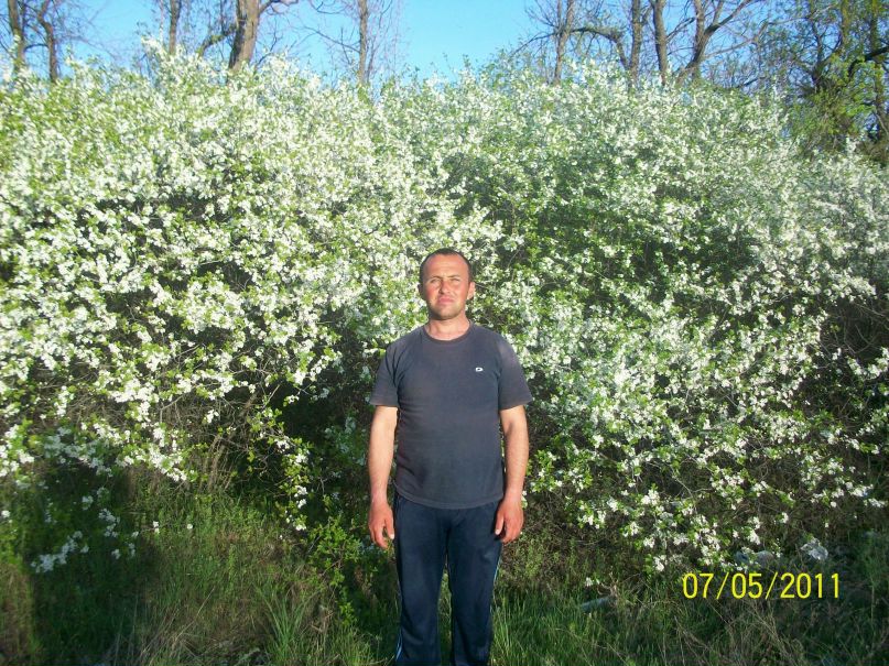 Сергей Плотников фотография #31