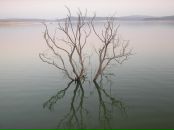 Фотография Mohd Alosh