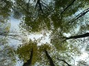 Танюфка Йолтухівська фотография #36 (источник - https://vk.com/id78222279)