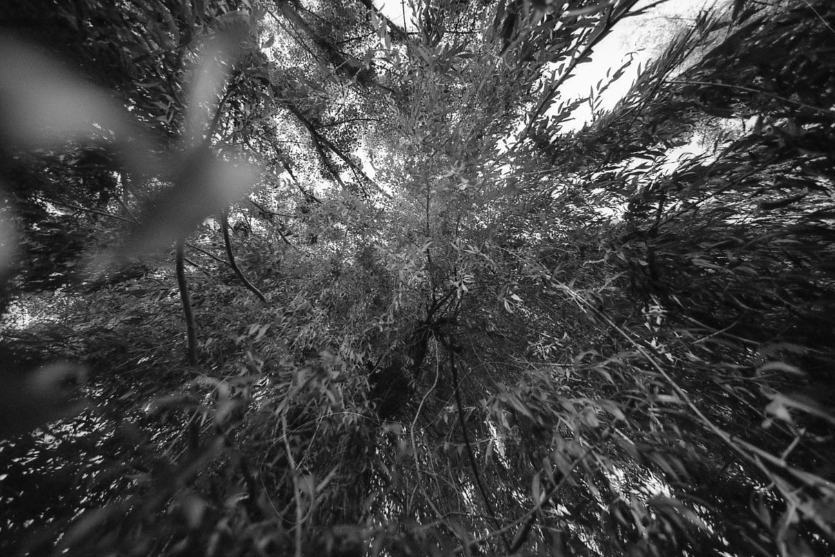 Евгения Кацман фотография #17