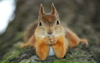 Фотография Ивановой Надежды