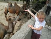 Надя Кіданецька фотография #21 (источник - https://vk.com/id103553217)