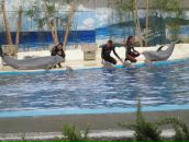 Надя Кіданецька фотография #7 (источник - https://vk.com/id103553217)