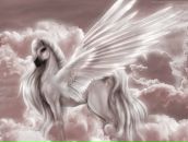 Оля Пушистая фотография #48 (источник - https://vk.com/id11001624)