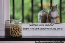 Андруся:)) Лозинська фотография #19 (источник - https://vk.com/id121655750)