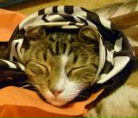 Фотография Колосовой Ирочки