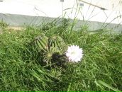 Фотография Кошелевой Юлии