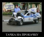 Олексій Царенко фотография #10 (источник - https://vk.com/id32101389)