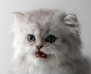 Юлька Біньковська фотография #16 (источник - https://vk.com/id164800321)