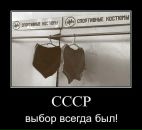 Міша Божан фотография #30 (источник - https://vk.com/id31850740)