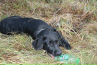 Артём Васильев фотография #33 (источник - https://vk.com/id657491)