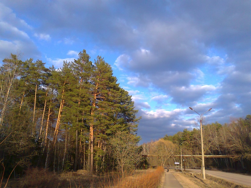 Дмитрий Майский фотография #37