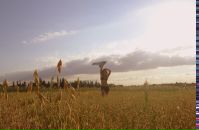 Фотография Явид Елизаветы