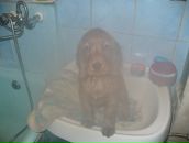 Sweet Lana фотография #48 (источник - https://vk.com/id3865831)