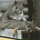 Фотография Стрекаловской Елены