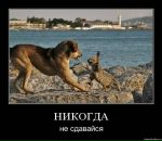Олександр Коблюк фотография #18 (источник - https://vk.com/id22919258)