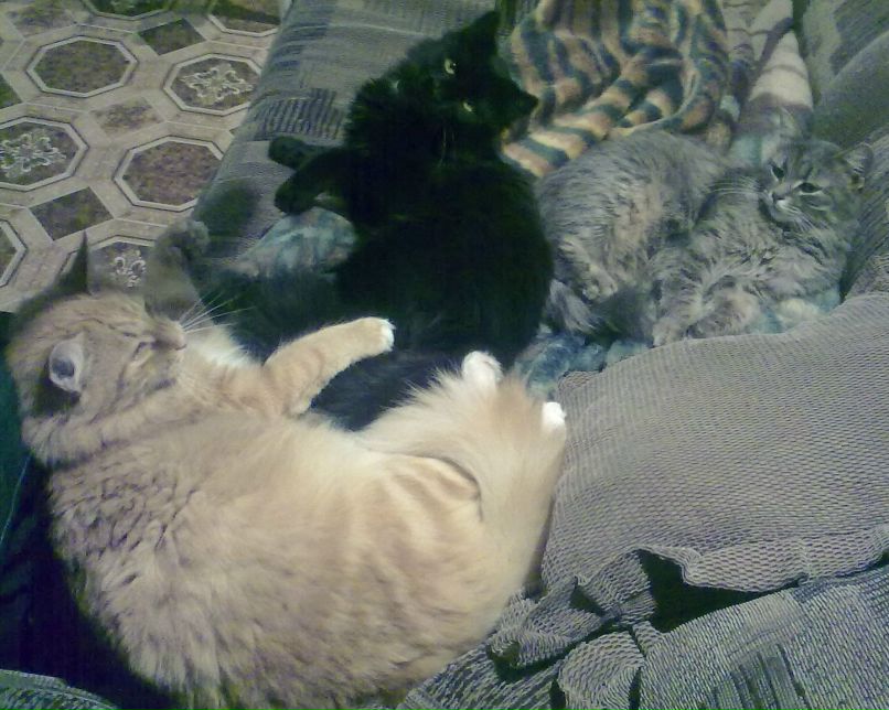 Ек@терин@ Пе$терев@ фотография #30