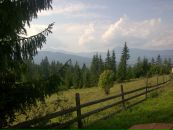 Олена Лебідь фотография #6 (источник - https://vk.com/id26999129)