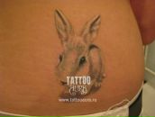 Фотография Болотниковой Виктории