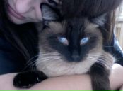 Фотография Shmagina Maria