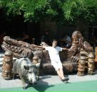 Фотография Коновалова Дмитрия