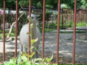 Віталій Слюсар фотография #49 (источник - https://vk.com/id112001719)