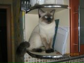 Фотография Карасёвой Галины