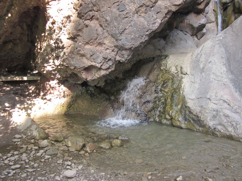 Дмитрий Ларин фотография #42