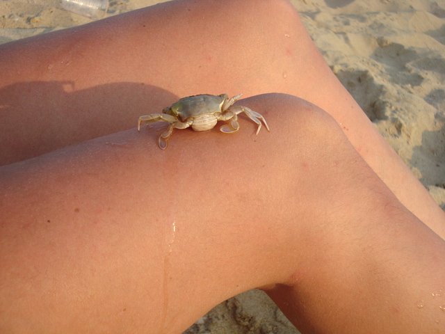 Ольга Сухарева фотография #43