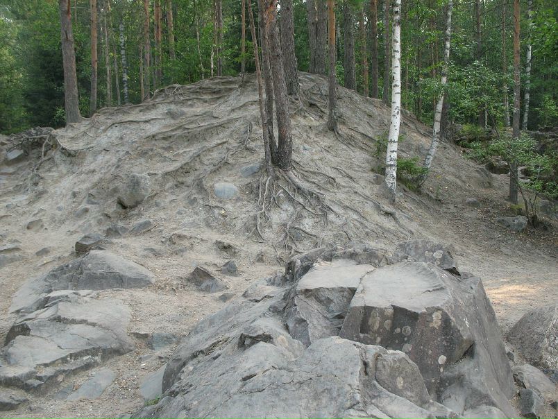 Михаил Романенко фото №5