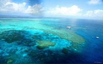 Юра Пасічник фотография #3 (источник - https://vk.com/id143328028)