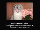 Діма Посівнич фотография #9 (источник - https://vk.com/id153871074)